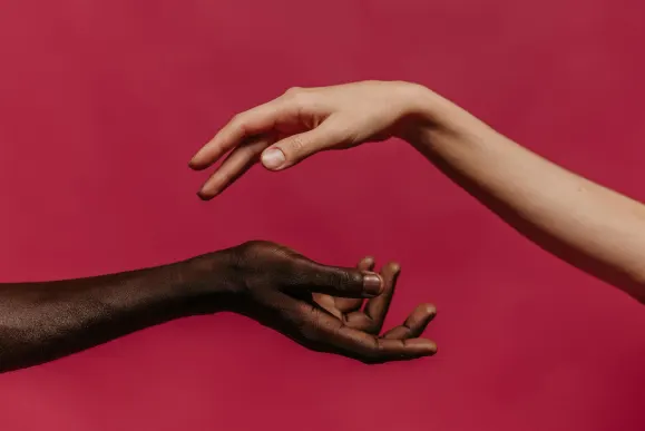 Kazino Slots Jungle Atbalsts